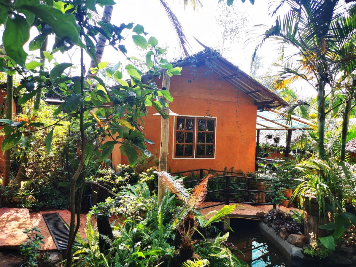 บ้านดินโฮมสเตย์ ปางอุ๋ง Ban Huai Makhuea Som Exterior photo