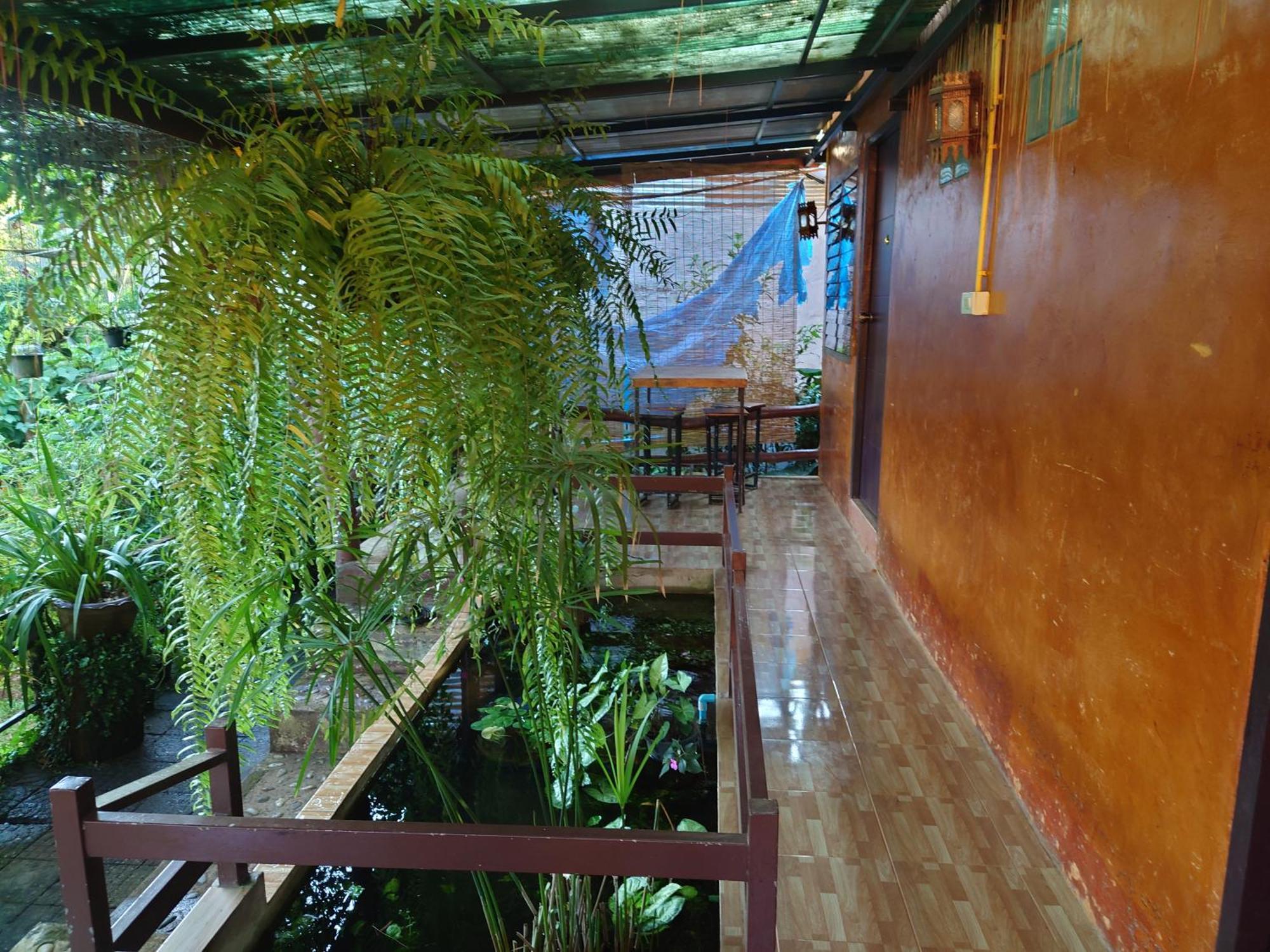 บ้านดินโฮมสเตย์ ปางอุ๋ง Ban Huai Makhuea Som Exterior photo